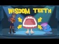 How your teeth work