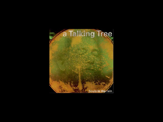 A Talking Tree - 10 Fat city