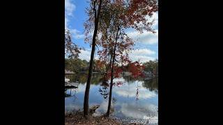 NEW LISTING: 217 Sandy Point Lane  12 Hartsville SC 29550