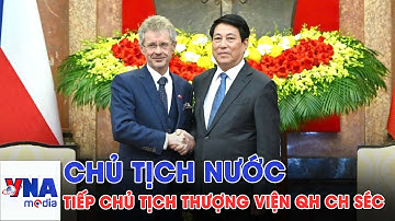 Chủ tịch nước Lương Cường tiếp Chủ tịch Thượng viện Cộng hoà Séc - VNAMedia