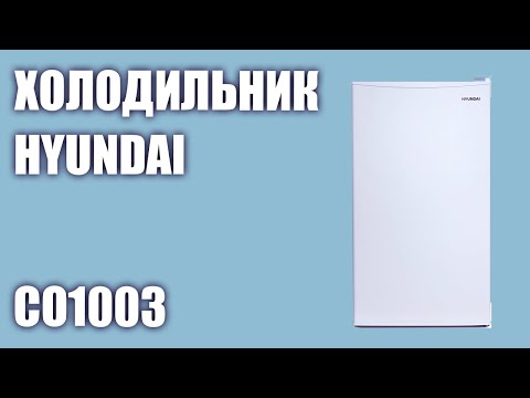 Холодильник Hyundai CO1003