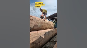 Pabrik Pengerjaan Kayu yang Menakjubkan - Mesin Penggergajian Kayu Ekstrim Raksasa