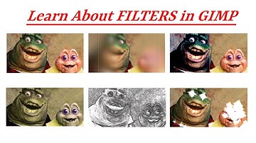 Learn about Filters in GIMP