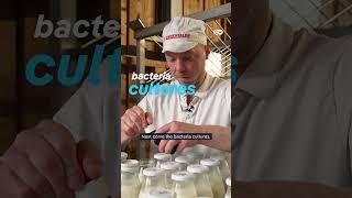 The hole truth about Emmental cheese