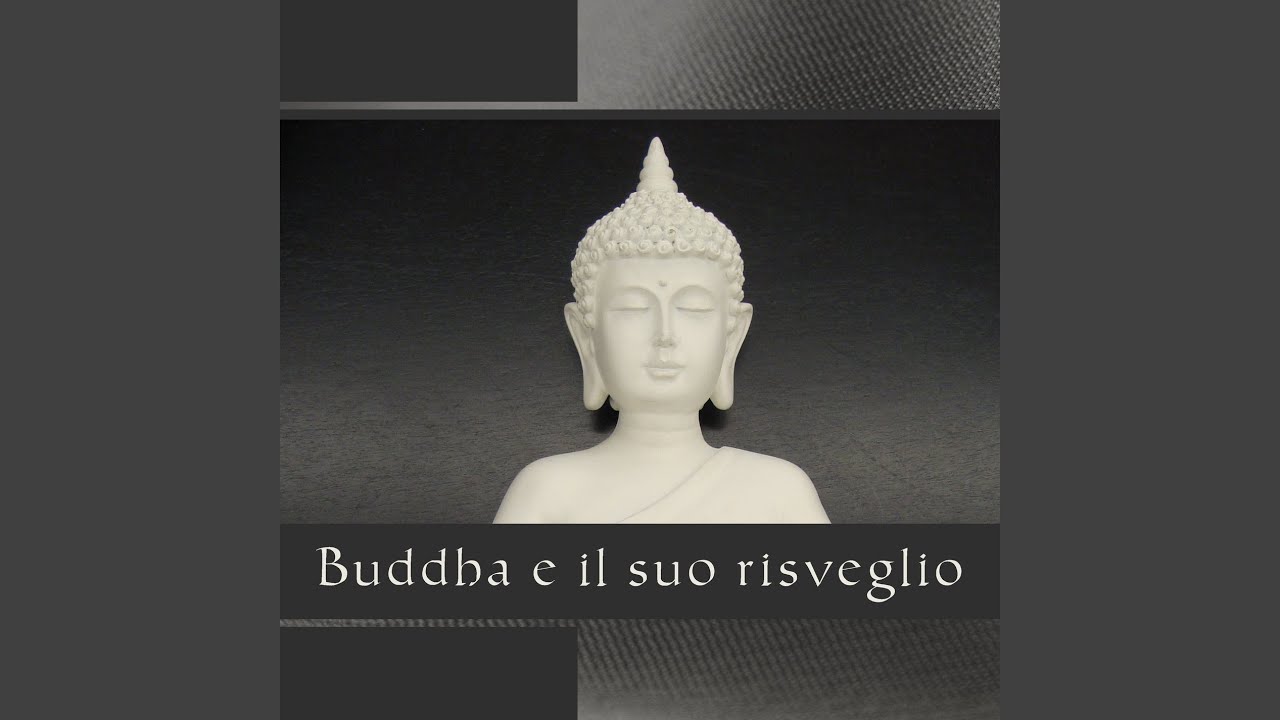 Meditazione trascendentale YouTube