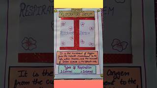 #interactive notebook #respiratorysystem #science #youtubeshorts #viral #shortvideo