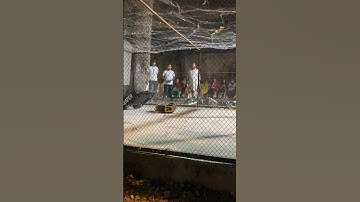 Robowar in Pakistan #pakistan #battlebots #machine #robotbattle #battlebots #battlebot #robotics