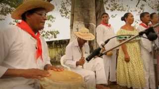 (HD) TAMBORA LA CANDELARIA / EL NIÑO INMACULADO : AMPLIFICADO ( FESTIVAL NACIONAL DE LA TAMBORA)