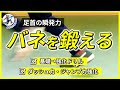 【足首のバネを鍛える】速く走る・高くジャンプするための基礎/瞬発力を作るドリル/ふくらはぎとアキレス腱の反発力強化