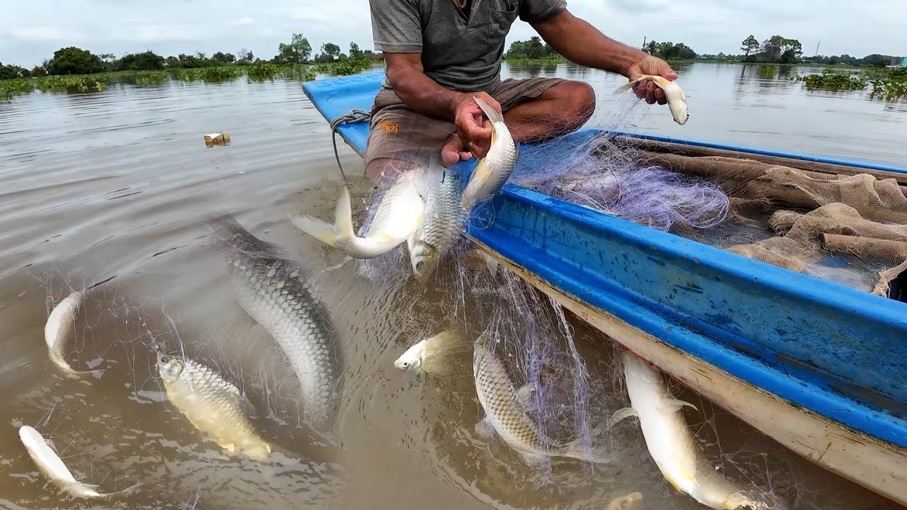 Kinh Ngạc: Cùng Chú Ba Giăng Lưới, Được Mẻ Cá Chưa Từng Thấy! 🎣