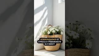 Освобождаемся от стресса и тревожности за 5 минут