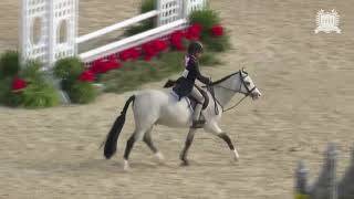 Reidell Day Dream - 2021 Pony Finals 3rd Overall Small Pony Hunters