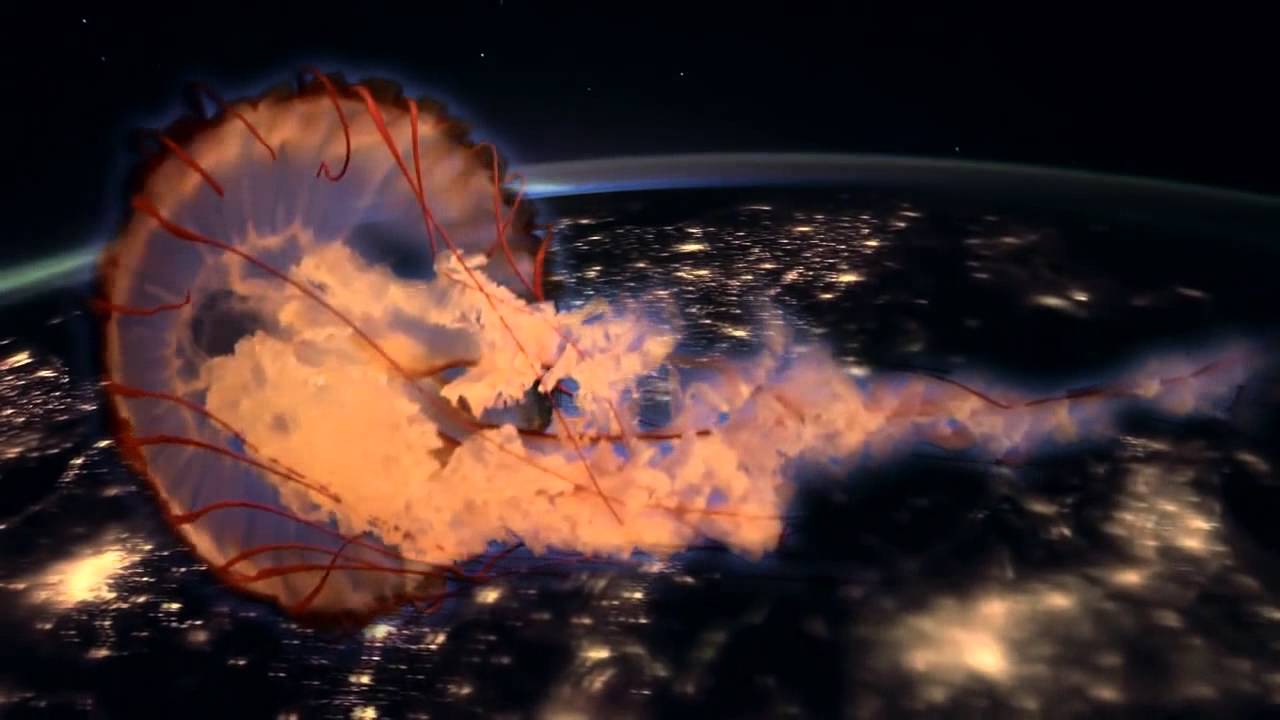 Live Footage - "Ant Colony" (Official Video)