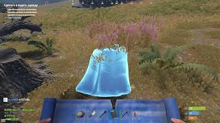 Rust. 2026 06 09 11 30 49 812