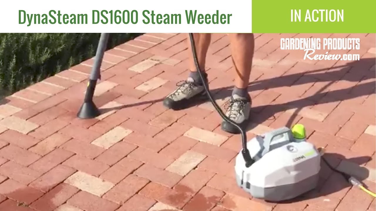 Dynasteam Ds1600 Steam Weeder Review : Get Rid of Weeds Effortlessly