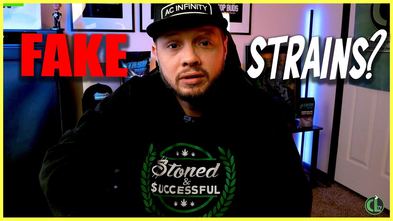 WHITE LABELING GENETICS: Why You May Have Fake Genetics