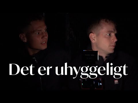 Dani og Sævar i Rædselsdybet