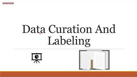 Data Curation and Labeling