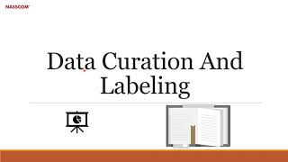 Celebrity Data Curation and Labeling Profile