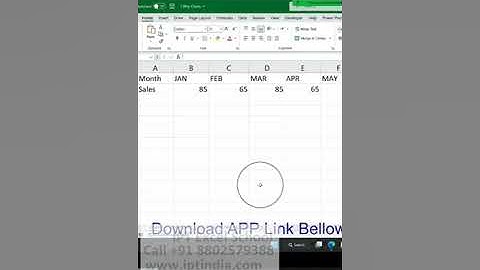 MIS  excel certification  #SHORTS #excelcourse  #macros #vba #excel #mis #msexcel #iptindia