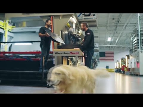 Video: Pet Scoop: Kardashian Out, Bulldog In pro Super Bowl Ad, Kayaker zachrání zraněného psa
