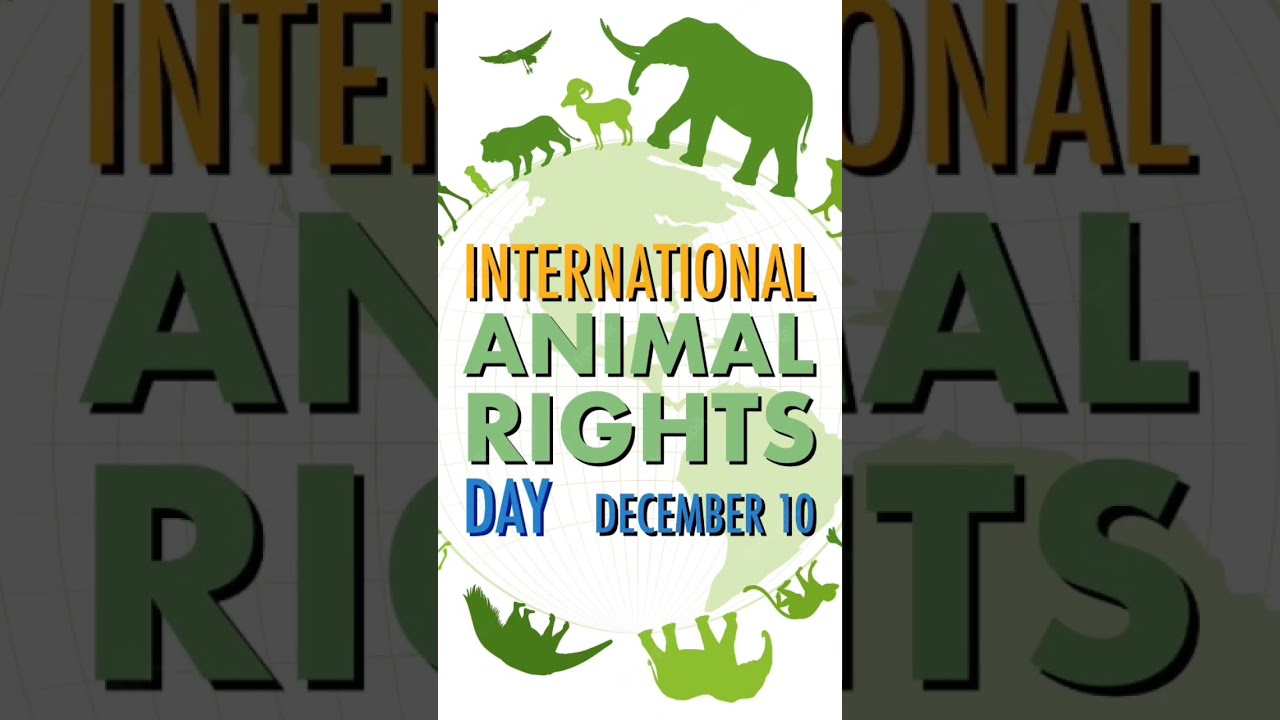 International Animal Rights Day 
