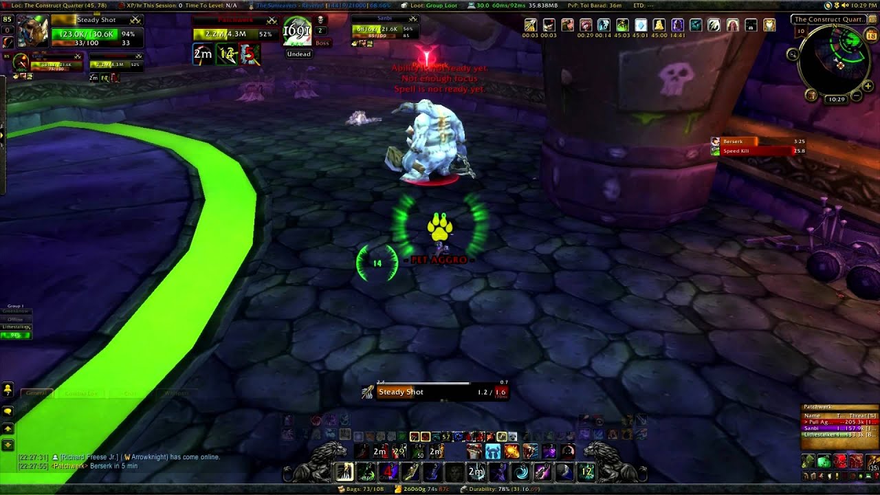 Lithestalker vs. Patchwerk Hunter Solo
