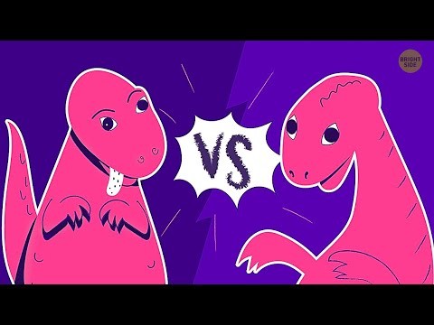 Vidéo: Les Dinosaures Vivaient-ils En Même Temps Que Les Humains? - Vue Alternative