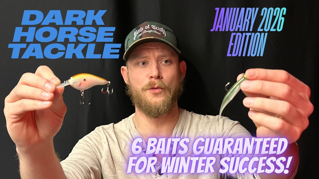 🍾Январский выпуск Dark Horse Tackle «С Новым годом»🍾