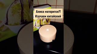 ИЗУЧАЕМ КИТАЙСКИЙ ЯЗЫК  ВМЕСТЕ С АЛИСОЙ!АЛИСА МАТЕРИТСЯ?!#алиса #китайский_язык #short #shorts