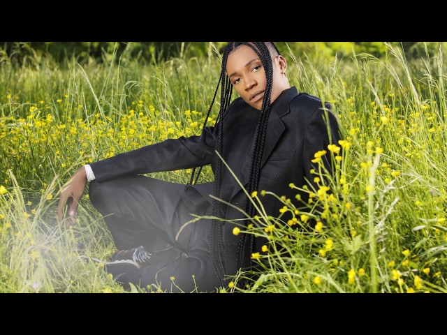 Dylane Dav - Muse (Audio)