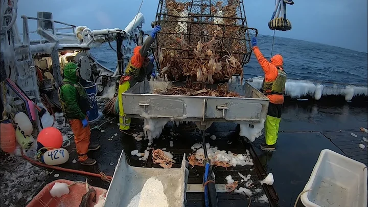 Bering Sea Crab Fishing in the Heart of Winter