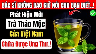 Người Cao Tuổi: Tiết Lộ Loại Trà Thảo Mộc Tự Nhiên Có Tác Dụng Tiêu Diệt UNG THƯ Sớm!