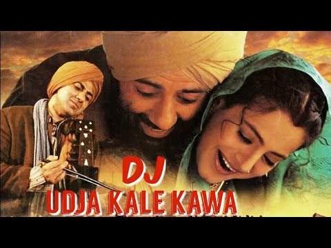 Udja Kale Kawa DJ Remix Song  Gadar Movie  Hindi dj gana  Wazir Ali Sitamarhi