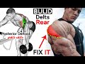 How To Grow Your Rear Delt (7 Key Exercises)