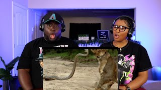 Kidd and Cee Reacts To The Snake Tier List