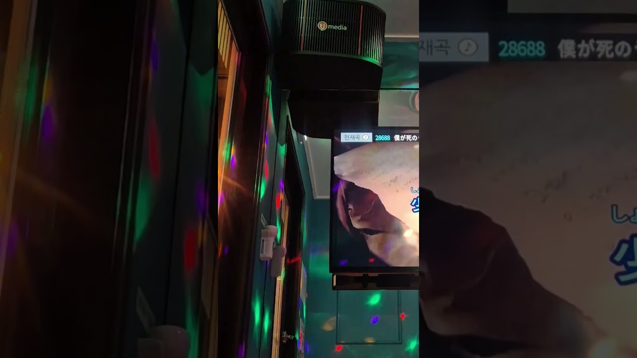 [내가 부른 노래] 내가죽으려고생각한것은 - amazarashi