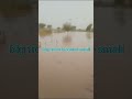 flood in pakistan/floods in pakistan/flood in ravi river/flood in ravi river update/pakistan flood