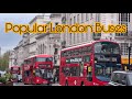 100 Popular Iconic London Buses || London Walk 2024 🇬🇧