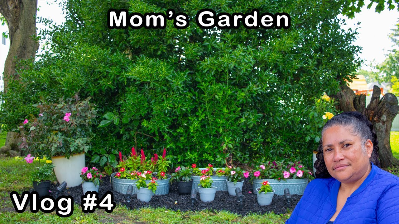 Mom's Garden Vlog #4