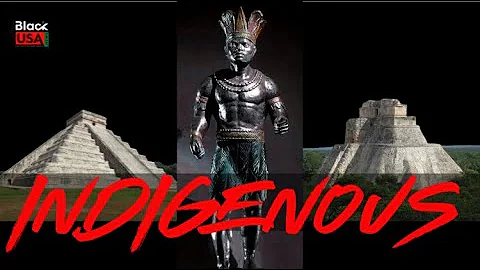 INDIGENOUS: The Cost of Declassification