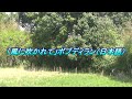 ボブディラン「風に吹かれて」日本語訳付けて歌ってみた。1963年の歌。2022年、今、この瞬間、ウクライナでは砲弾が飛び交う。