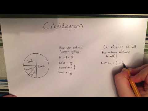 Video: Hur Man Gör Ett Cirkeldiagram
