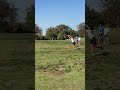 frisbee score #like #subscribe #4urpage #fypシ゚viral #fypシ #shortsviral #shorts#frisbee
