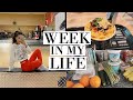 WEEKLY VLOG | HEALTHY GROCERY HAUL, SHOPPING & MORE