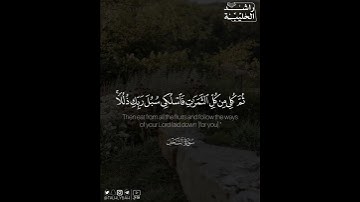 ﴿.. يخرج من بطونها شراب مختلف ألوانه فيه شفاء للناس ..﴾ | القارئ: راشد الحليبة