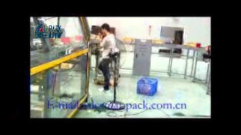 High Speed Wrap Around Case Packer with Shrink Wrapper for pet bottles