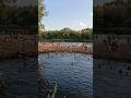 Вечер пятницы, что может быть лучше?! #motivation #relaxing