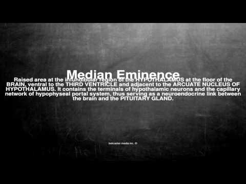 Medical vocabulary: What does Median Eminence mean