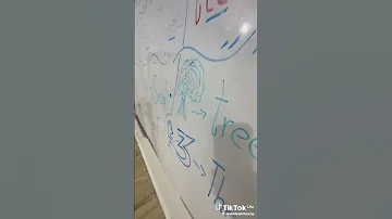 اغنية نمشي نعوم في Sea كامله 